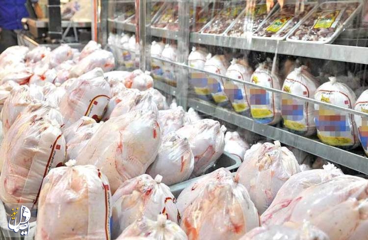 تداوم کاهش قیمت مرغ با عرضه پیوسته در بازار