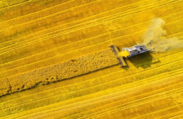 ANU applies space tech to predict future droughts and bushfires