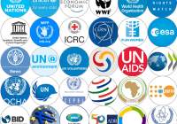 Making norms to tackle global challenges: The role of Intergovernmental Organisations