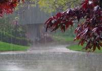 بارش‌ها از ابتدای سال آبی جاری نسبت به میانگین دوره های مشابه 42 درصد رشد دارد