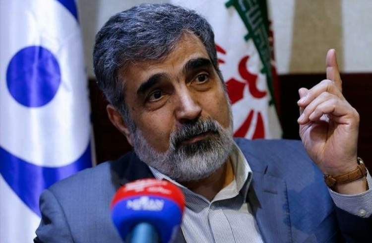 Iran keeping window of diplomacy open: AEOI spox