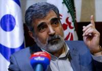 Iran keeping window of diplomacy open: AEOI spox
