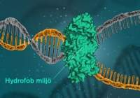 شناسائی نیروی قوی تر از پیوند هیدروژنی که باعث ثبات DNA می‌شود