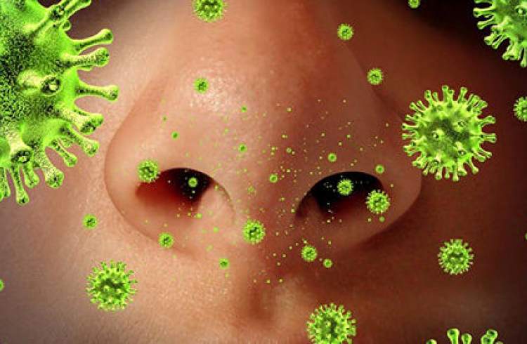 ویروس آنفولانزا در کشور در حال گسترش است