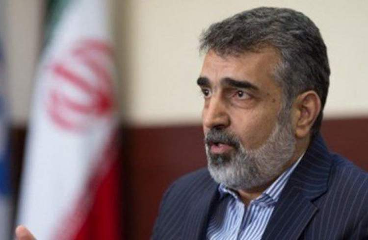 کمالوندی: مذاکرات درباره چگونگی اجرای پروژه ایزوتوپ پایدار در جریان است