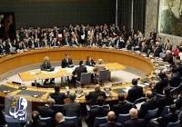 تشدید اختلافات بر سر درگیری های ادلب در جلسه شورای امنیت