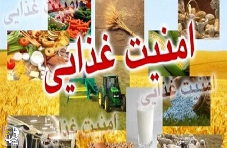 تاثیر امنیت غذایی در پیشگیری از بیماری‌ها