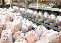 تعیین قیمت ۱۵ هزار تومانی مرغ برای مصرف‌کنندگان