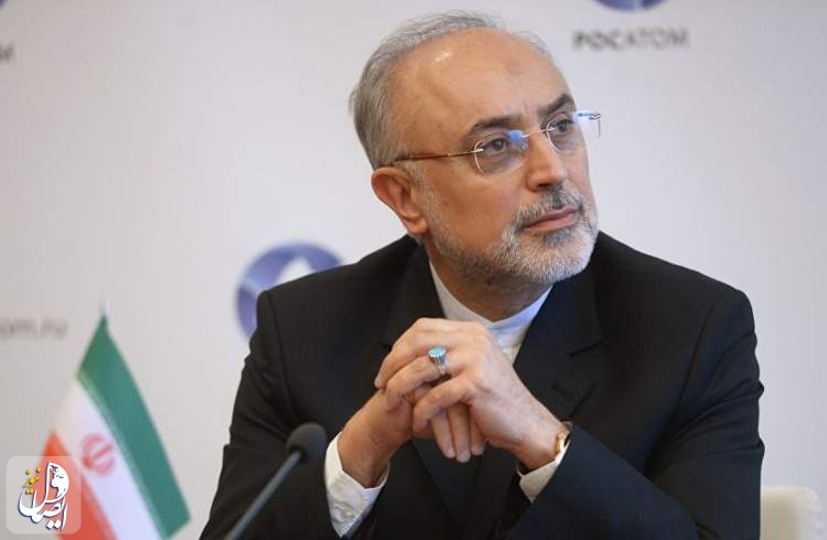 صالحی: ایران برای اجرای تعهدات هسته‌ای خود مشکلی ندارد