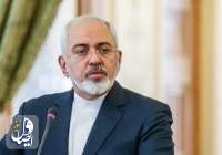 هشدار ظریف درباره حضور تروریست‌ها در جوار مرزهای ایران