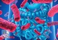 چگونگی مقابله سیستم ایمنی بدن با باکتری‌های روده