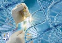 کشف تغییر ژنتیکی جدید ویروس کرونا در آفریقای جنوبی