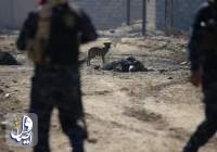دفع حمله انتحاری داعش به نیروهای گارد مرزی عراق