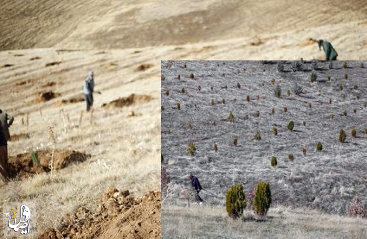 روز درختکاری با جنگل‌کاری ۱۶۰۰ هکتاری شاهین‌شهر اصفهان آغاز شد