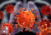 دراسة جديدة تكشف "سر" التحور السريع في فيروس كورونا