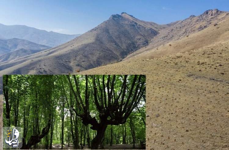 رشد ۲۳ برابری پوشش گیاهی در اصفهان تلاشی برای حفظ محیط زیست