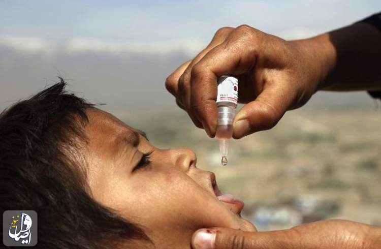 قتل کارکنان کارزار واکسیناسیون فلج اطفال در افغانستان