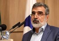 کمالوندی: ذخایر اورانیوم ۲۰ درصد ایران به ۵۵ کیلوگرم رسید