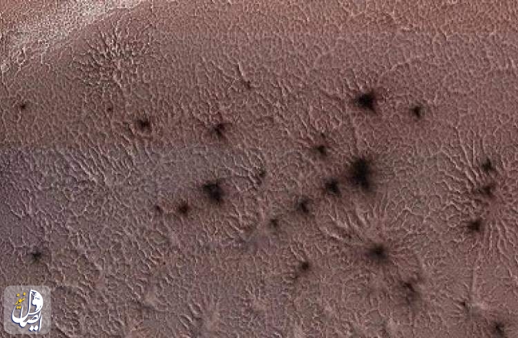 علماء يفكون لغز "عناكب المريخ" الذي حيّرهم لسنوات