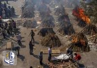 آمار قربانیان کرونا در هند باز هم رکورد زد