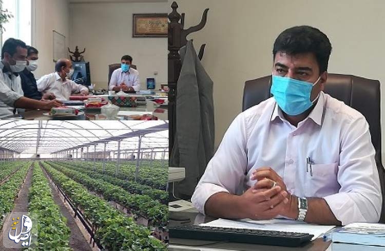 مدیر جهاد کشاورزی نجف‌آباد: جلوگیری از تغییر کاربری اراضی کشاورزی با جدیت پیگیری می شود