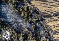 آتش‌سوزی وسیع در مراتع جنوب استان اصفهان