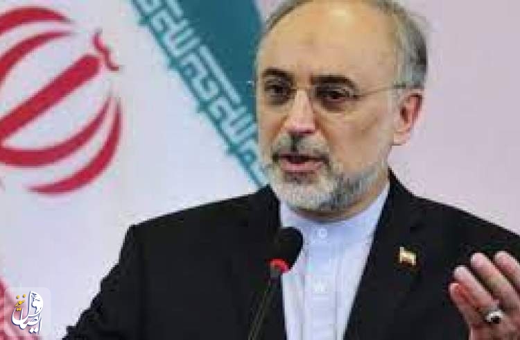 صالحی جزئیات برنامه ایران برای تولید برق هسته‌ای را تشریح کرد
