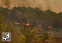 حرائق الغابات تقتلع "ربوة السياحة التركية"