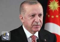 تشکر اردوغان از کشورهایی که به مهار آتش‌سوزی در جنگل‌های ترکیه کمک کردند