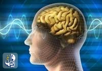 کشف توانایی مغز در پیش‌بینی آینده