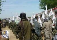 طالبان دولت پراتورین قلدر می شود