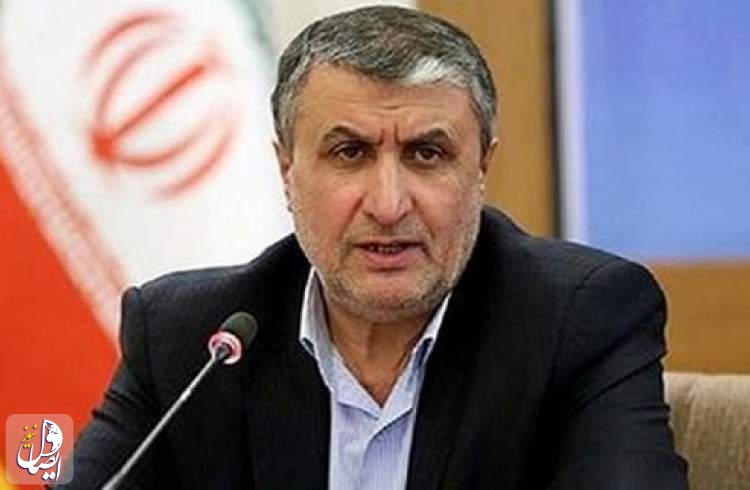 رئیس سازمان انرژی اتمی ایران وارد وین شد