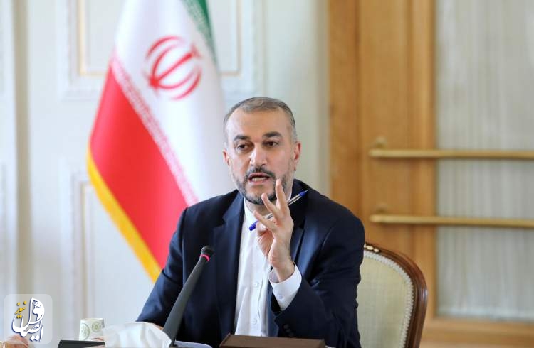 امیرعبدالهیان: موضوع ایرانیان دوتابعیتی یک بار برای همیشه باید حل شود