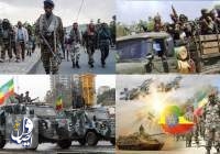 پیشروی گروه های مسلح برای تصرف پایتخت اتیوپی