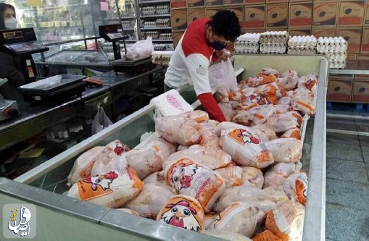 گوشت و مرغ دولتی در ۲۰۰ میدان و بازار میوه و تره بار تهران عرضه می‌شود