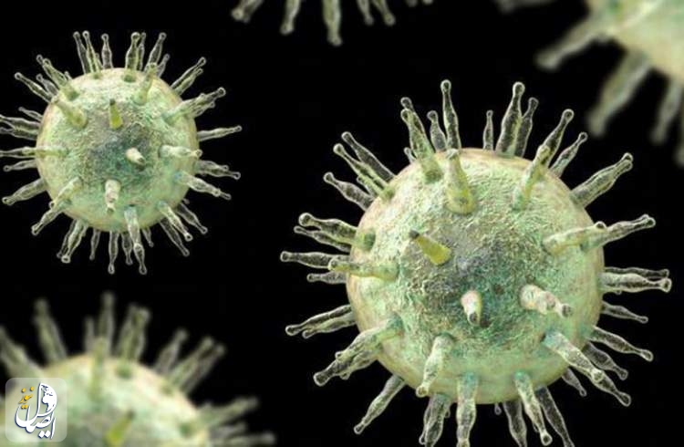 ویروسی که منجر به بیماری «ام اس» می‌شود شناسایی شد