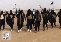 شهادت 11 نظامی عراقی در حمله عناصر داعش