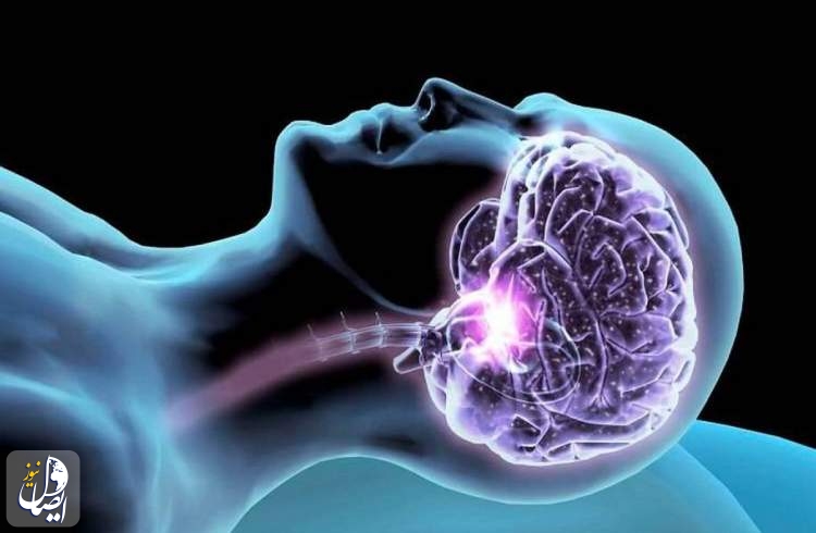 دانشمندان: مغز حتی زمانی که می خوابیم نیز مراقب خطرات است