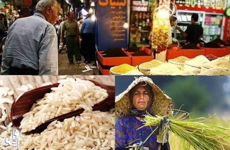 یک نماینده مجلس: برنج خارجی به قیمت نیم‌ دلار وارد کشور می‌شود