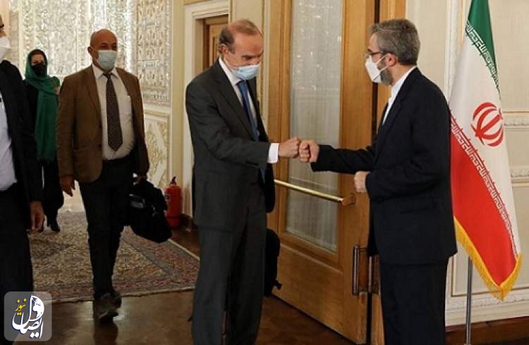 سفر هماهنگ کننده مذاکرات ایران در اتحادیه اروپا به تهران