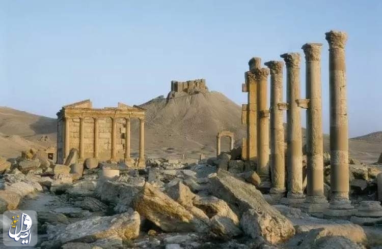 Foreign tourist groups visit Palmyra