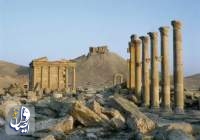 Foreign tourist groups visit Palmyra