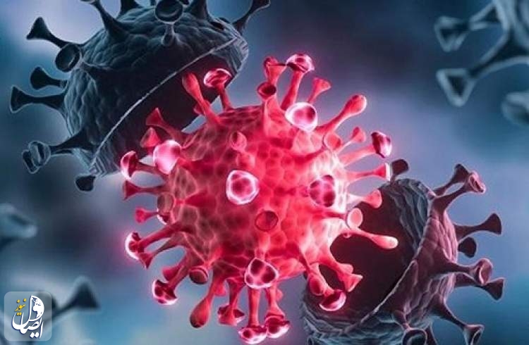 باحثون: توقع ظهور سلالات جديدة من فيروس كورونا