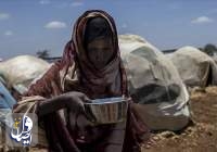 سازمان ملل: بحران اوکراین ممکن‌ است 47 میلیون نفر را به گرسنگی بکشاند