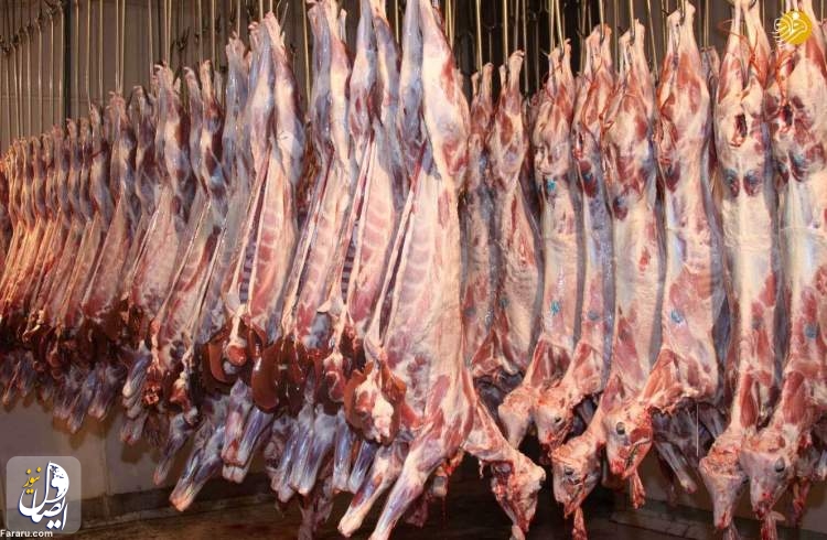 عرضه گوشت قرمز در بازار با قیمت ۱۳۰ تا ۱۵۰ هزار تومان