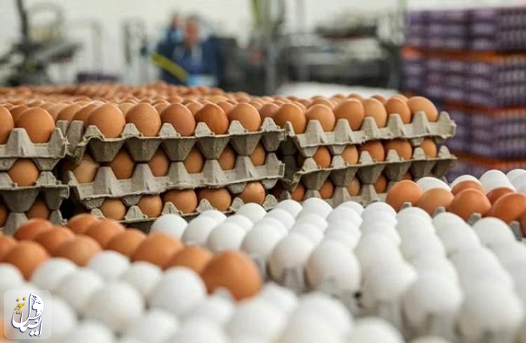 ریزش قیمت تخم مرغ در پی کاهش محسوس تقاضا در بازار