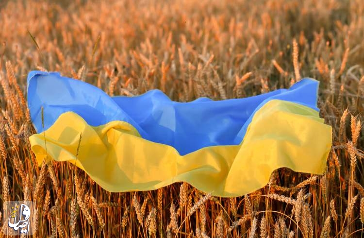 زلنسکی: ذخایر غلات اوکراین تا پاییز به ۷۵ میلیون تن خواهد رسید
