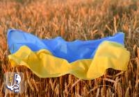زلنسکی: ذخایر غلات اوکراین تا پاییز به ۷۵ میلیون تن خواهد رسید