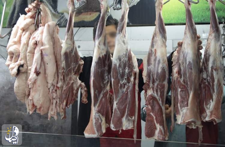 گوشت گوسفندی در بازار ۳۰ هزار تومان ارزان شد