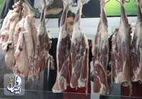 گوشت گوسفندی در بازار ۳۰ هزار تومان ارزان شد